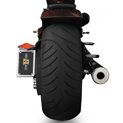 Custom Chrome Chrome LED Side Mount Taillight Frame For Harley 5-speed Softail 87-99 Vertical