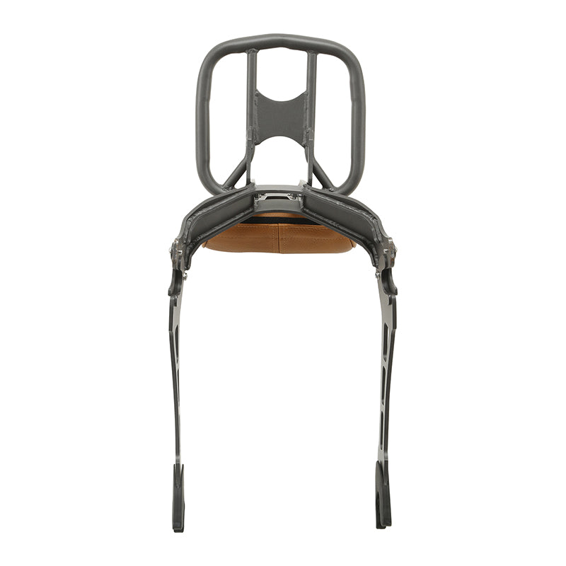 Passenger Backrest Sissy Bar With Luggage Rack For Indian Scout 2015-2024